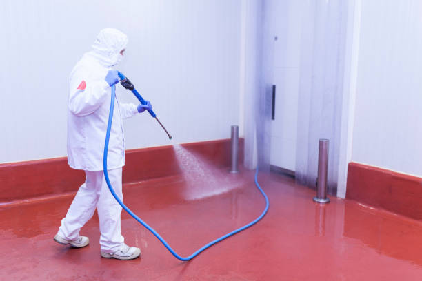 Best House Exterior Washing  in Center Point, TX
